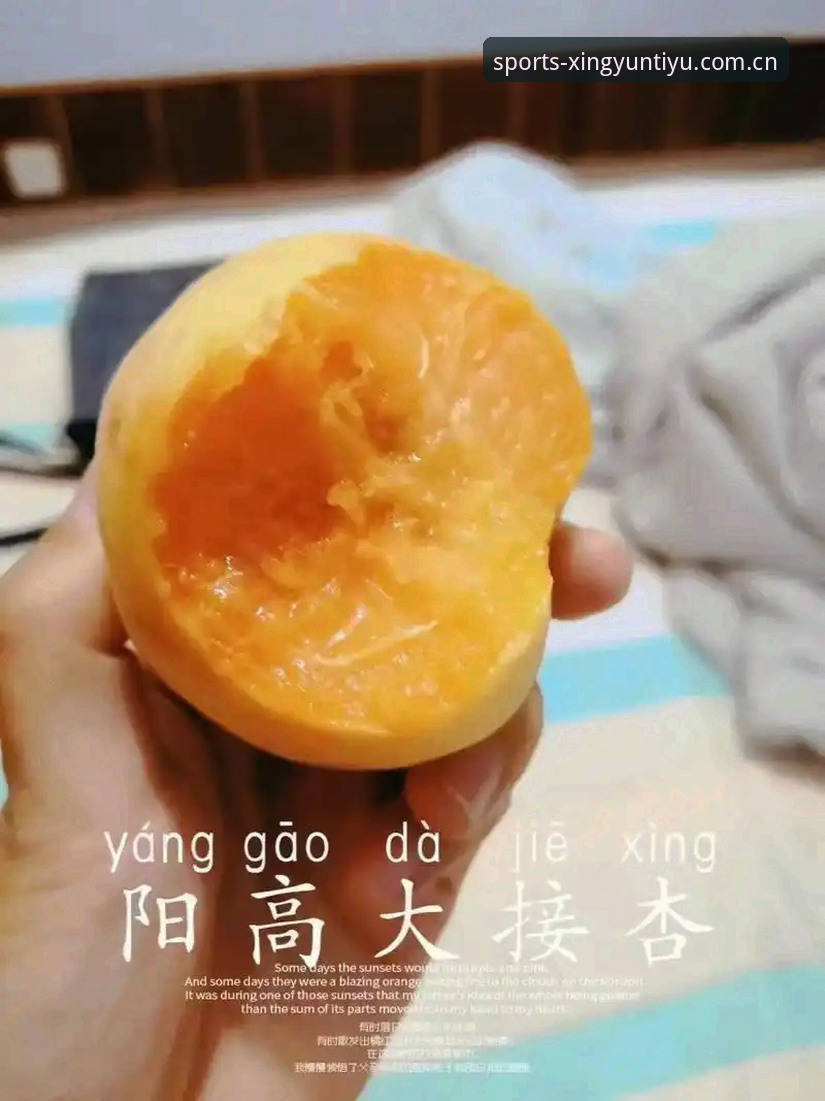 杏运体育登录全攻略：5大核心功能与3种下载方式详解